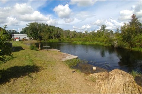 Commercial property in Wimauma, Florida 158.77 sq.m. № 222584 - photo 14
