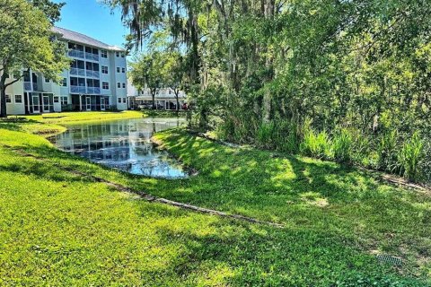 Condo in Lutz, Florida, 2 bedrooms  № 1140336 - photo 30