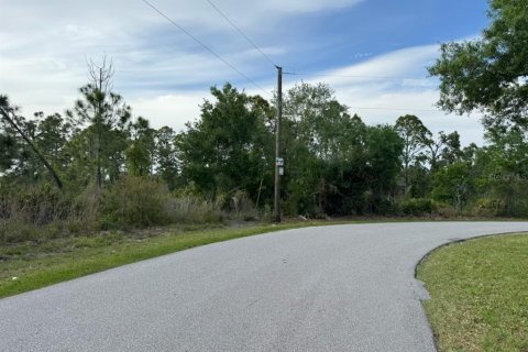 Land in North Port, Florida № 1140259 - photo 3