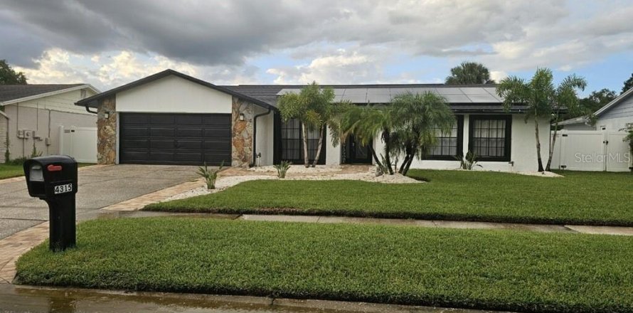 House in Tampa, Florida 4 bedrooms, 186.36 sq.m. № 1338979