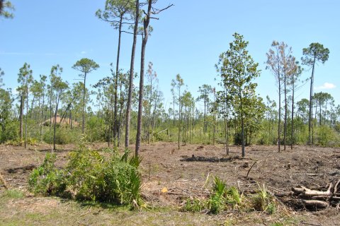 Terreno en venta en Panama City, Florida № 558274 - foto 5