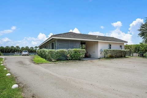 Immobilier commercial à louer à Wellington, Floride: 1 chambre, 392.51 m2 № 851781 - photo 26