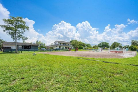 Immobilier commercial à louer à Wellington, Floride: 1 chambre, 392.51 m2 № 851781 - photo 13