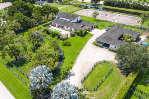 Immobilier commercial à louer à Wellington, Floride: 1 chambre, 392.51 m2 № 851781 - photo 3