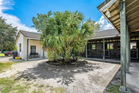 Immobilier commercial à louer à Wellington, Floride: 1 chambre, 392.51 m2 № 851781 - photo 25