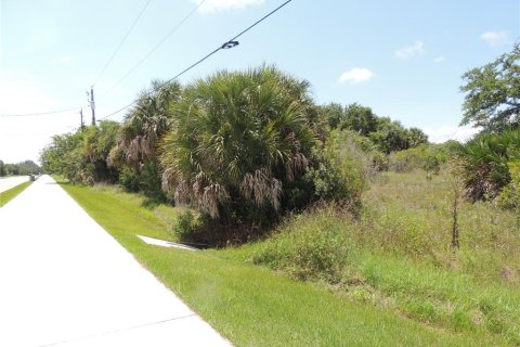 Купить земельный участок в Порт-Шарлотт, Флорида № 218442 - фото 13