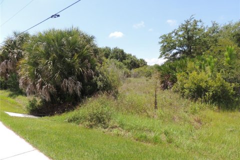 Купить земельный участок в Порт-Шарлотт, Флорида № 218442 - фото 12