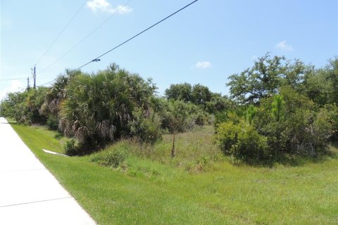 Купить земельный участок в Порт-Шарлотт, Флорида № 218442 - фото 7