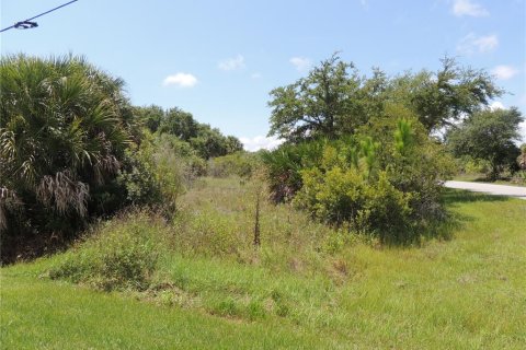 Купить земельный участок в Порт-Шарлотт, Флорида № 218442 - фото 5