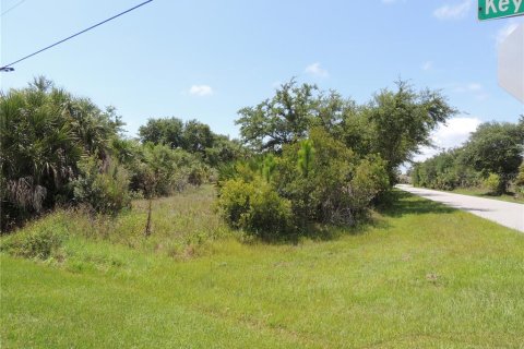 Купить земельный участок в Порт-Шарлотт, Флорида № 218442 - фото 8