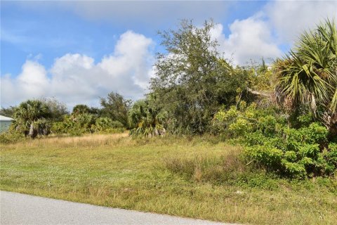 Land in Port Charlotte, Florida № 874837 - photo 2