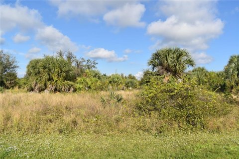 Terrain à vendre à Port Charlotte, Floride № 874837 - photo 3