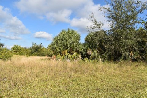 Terrain à vendre à Port Charlotte, Floride № 874837 - photo 6