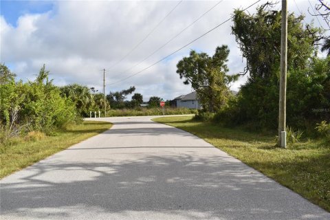 Land in Port Charlotte, Florida № 874837 - photo 8