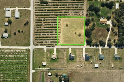 Land in Wauchula, Florida № 1373678 - photo 10