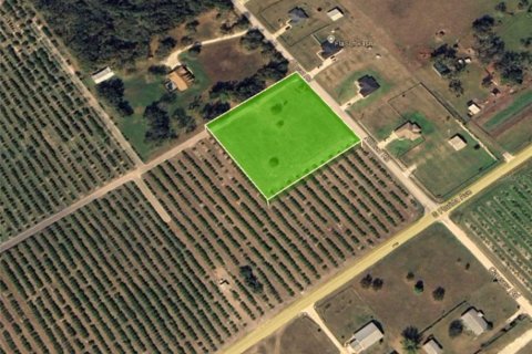 Land in Wauchula, Florida № 1373678 - photo 3