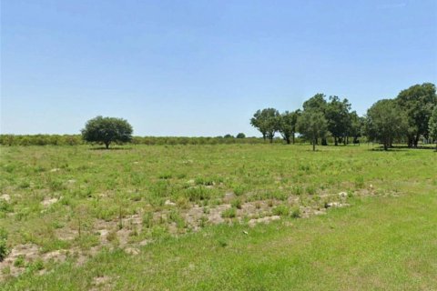 Terrain à vendre à Wauchula, Floride № 1373678 - photo 8