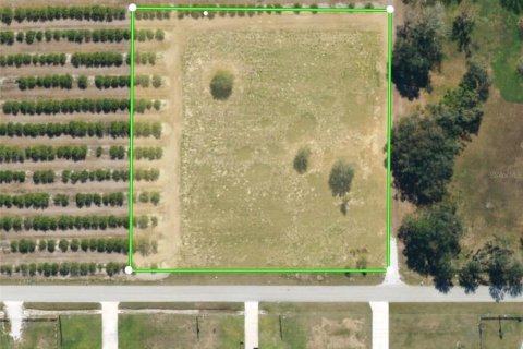 Terreno en venta en Wauchula, Florida № 1373678 - foto 11