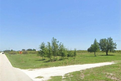 Terreno en venta en Wauchula, Florida № 1373678 - foto 6