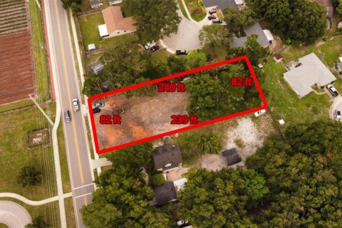 Terreno en venta en Ocoee, Florida № 1298174 - foto 2