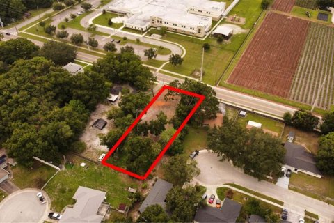 Terreno en venta en Ocoee, Florida № 1298174 - foto 7