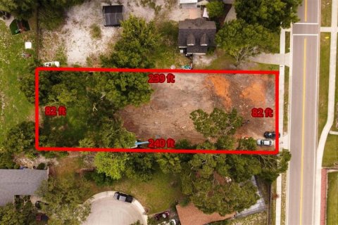 Terreno en venta en Ocoee, Florida № 1298174 - foto 6