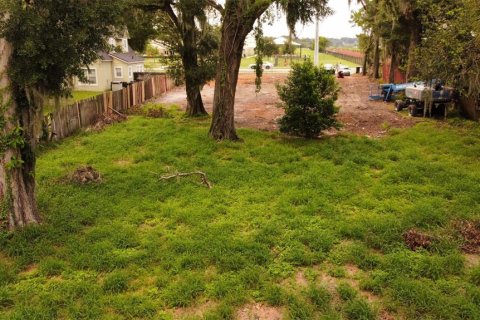 Terreno en venta en Ocoee, Florida № 1298174 - foto 3