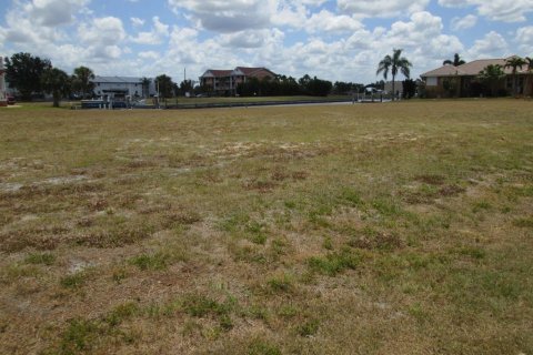 Terrain à vendre à Punta Gorda, Floride № 1158762 - photo 7