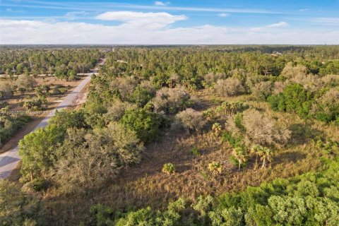 Terrain à vendre à Lehigh Acres, Floride № 384859 - photo 8