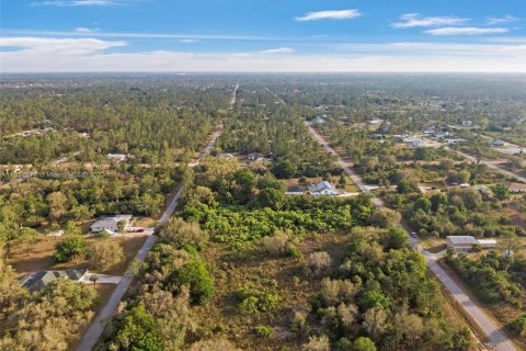 Terrain à vendre à Lehigh Acres, Floride № 384859 - photo 6