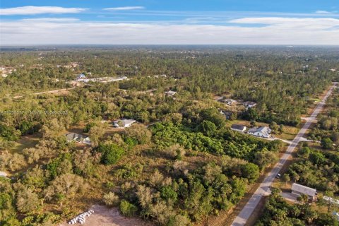 Terrain à vendre à Lehigh Acres, Floride № 384859 - photo 7