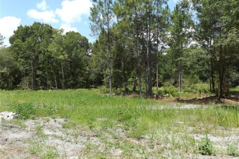 Купить земельный участок в Лейкленд, Флорида № 233755 - фото 6