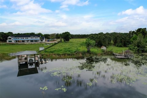 Terreno en venta en Odessa, Florida № 1158416 - foto 5