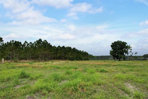 Terreno en venta en Odessa, Florida № 1158416 - foto 8