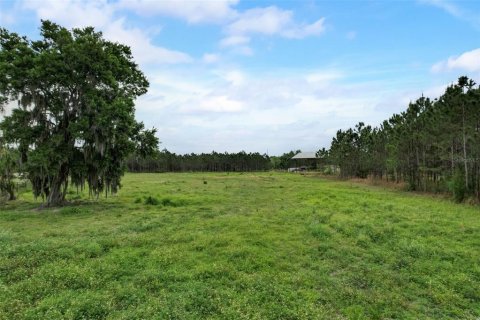 Terreno en venta en Odessa, Florida № 1158416 - foto 7