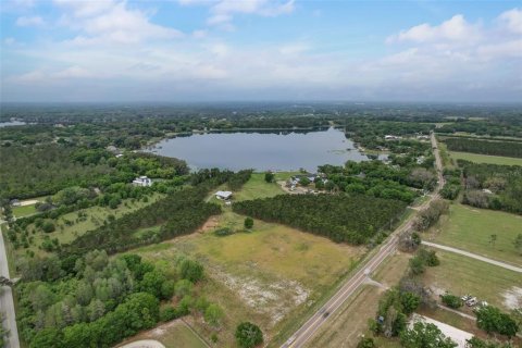 Terreno en venta en Odessa, Florida № 1158416 - foto 14