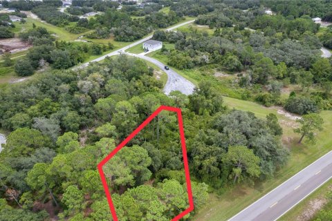 Terreno en venta en Kissimmee, Florida № 1352618 - foto 7