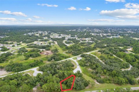 Terreno en venta en Kissimmee, Florida № 1352618 - foto 5