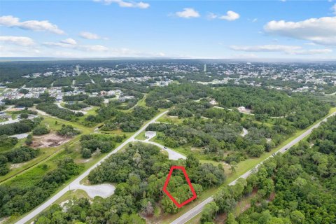 Terreno en venta en Kissimmee, Florida № 1352618 - foto 6