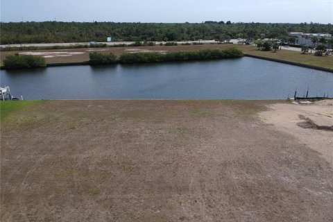 Land in Punta Gorda, Florida № 1386494 - photo 1