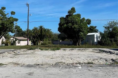 Terrain à vendre à Port Charlotte, Floride № 864034 - photo 4