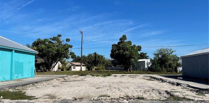 Terrain à Port Charlotte, Floride № 864034