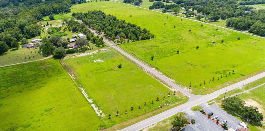 Terrain à Dade City, Floride № 1352924