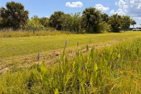 Land in Port Charlotte, Florida № 1374693 - photo 3