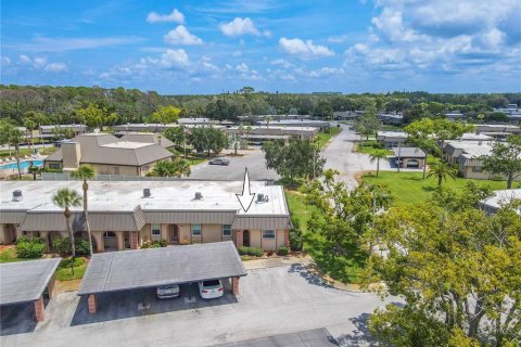 Condo in New Port Richey, Florida, 2 bedrooms  № 1338716 - photo 29