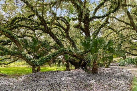 Villa ou maison à vendre à Kissimmee, Floride: 5 chambres, 478.08 m2 № 1343128 - photo 17