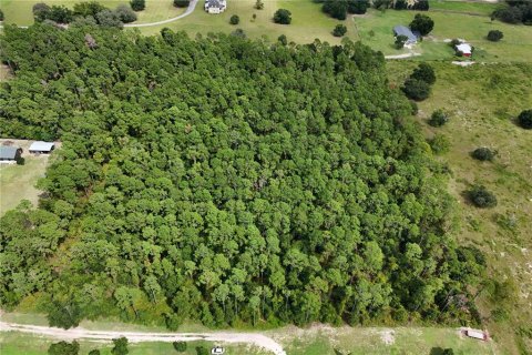 Terreno en venta en Eustis, Florida № 1361055 - foto 8