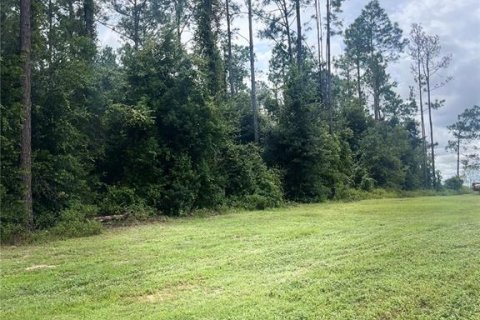 Terreno en venta en Eustis, Florida № 1361055 - foto 5