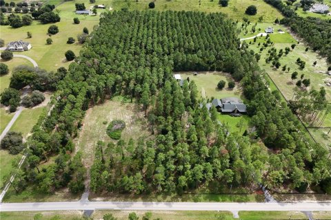 Terreno en venta en Eustis, Florida № 1361055 - foto 7