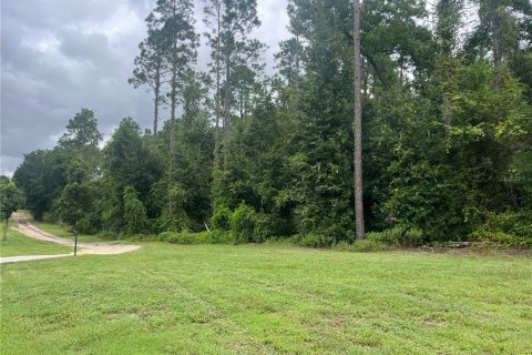 Terreno en venta en Eustis, Florida № 1361055 - foto 3